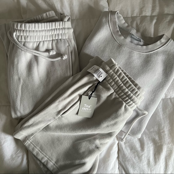Aritzia Sweaters - ‼️SOLD‼️ TNA sweatsuit